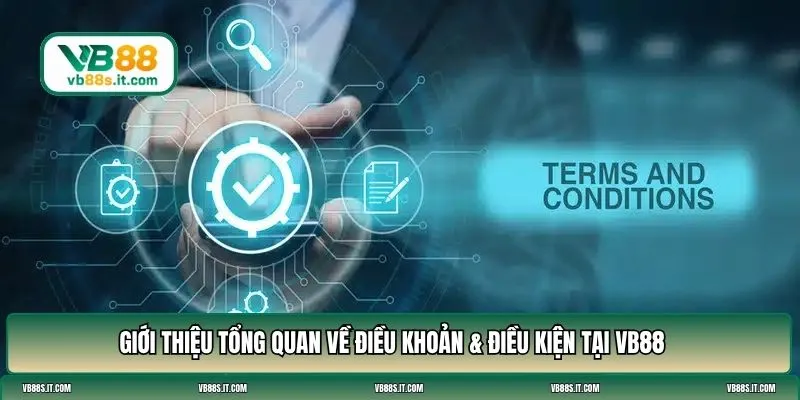 điều khoản & điều kiện