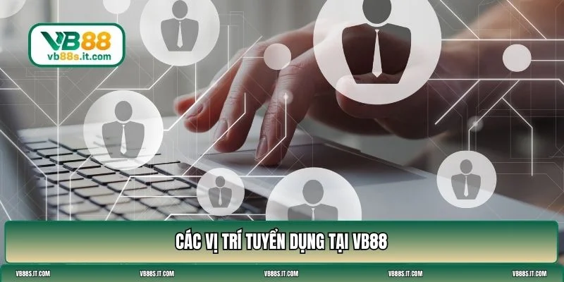 tuyển dụng VB88